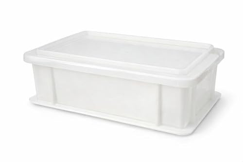 Deckmann 1 Pizzaballenbox + 1 Deckel - kleine Variante für kleinere Kühlschränke 31x21x12cm | Made in Italy | Gärbox, Teigwanne für Pizzateig | Teigbox für Pizzaballen, Pizzateigbehälter