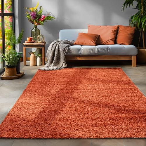 SIMPEX Flauschiger Teppich Wohnzimmer Schlafzimmer Läufer Flur Esszimmer Küchenteppich Hochflor Einfarbig Modernes Design 30 mm Florhöhe Kuschelweich, Terrakotta, 100 x 200 cm