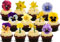 Narzisse Stiefmütterchen Party Pack Mix - 12 essbare hochwertige stehende Waffeln Karte Kuchen Toppers Dekorationen - Daffodil Pansies Party Pack Mix