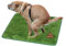 Qcwwy Almohadillas para Orinar de Hierba para Perros, Alfombra de Césped Artificial para Entrenamiento de Orinal para Cachorros, Alfombra de Césped Lavable, Alfombra de Entrenamiento