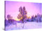 Startonight Impression Sur Toile Lumineux Lever du Soleil dans l'Hiver Violet - Tableau Paysage - Decoration Murale Salon Moderne - Image sur Toile - 60 x 90 cm Idée Cadeau Élégante et Originale
