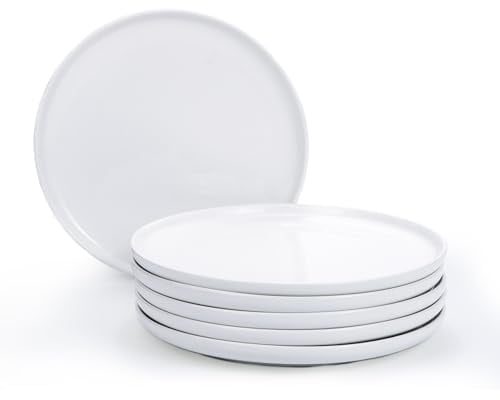 Jassceram Juego de 6 platos llanos de cerámica de 10.5 pulgadas, platos grandes de cerámica, platos redondos para ensalada, postre, pasta, lavavajillas, microondas, apto para horno, 27 cm, color
