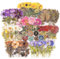 Ptyism 320 Pezzi Impianto Stickers Scrapbooking（8 Temi）Scrapbooking Adesivi丨Adesivi Scrapbooking Decorativi，Scrapbook Sticker Set per Scrapbooking, Accessori per Bullet Journal, Artigianato di Carta e