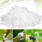 300 Pcs Pflanzenclips Kletterhilfe Pflanzen, Pflanzenklammern Tomaten Rankhilfe, Kunststoff Tomatenklammern für Kletterpflanzen, Blumen klammern für Gemüse Tomate Pflanzen Befestigun (300, Transpare)