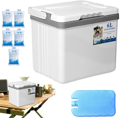 Cool Box - 6 Litre Hard Shell Cool Box, Insulated Waterproof Portable Cool Box for Picnics, Fishing, Boat Hiking, Outdoor Activities, -20°C - 20°C, 12/24V DC & 100-240V Ac, Suitable F
