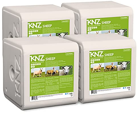 A&G-heute 40kg Leckstein Sheep 4 x 10 kg KNZ Mineralleckstein Mineralstein Salzleckstein Schaf Lamm Lämmer Nutztiere Weiss