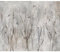 decomonkey - Papier Peint Panoramique Arbre Oiseau 350x256 cm - Décoration murale moderne – Tapisserie décorative pour chambre salon - Des arbres paysage forêt oiseaux hiver