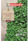 Bavicchi semi prato dichondra repens (500g confettato)