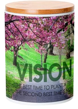 Fabulous Keramiktopf mit Deckel Bambus - Vision inspirierendes Zitat Englisch Motivation - 739 ml (25 oz) - Topf