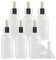 TIANZD Pack of 4, Empty 100ml Frosted Clear Glass Dropper Bottles with Glass Pipette Dropper, Small Dropper Bottles with Silver Metal Cap for Essential Oil Aromatherapy Blends Vials