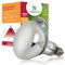 REPTI HOME UVA UVB Wärmelampe Terrarium, 100W Heizlampe UVB Lampe Reptilien, Terrarium Lampen E27 für Schildkröten,Bartagamen, Schlangen, Eidechsen