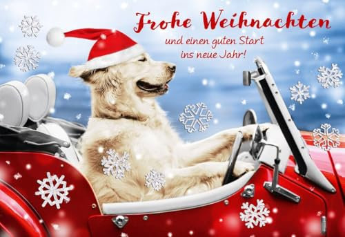 schöne Weihnachtskarte Hund Labrador Frohe Weihnachten und einen guten Start ins neue Jahr