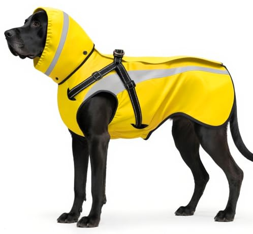 Oslueidy Imperméable Chien Imperméables pour Chien Réfléchissant Chiens Vestes de Pluie à Capuche Pluie Poncho pour Petits Chiens Moyens Grands S-XXL (Jaune, M)