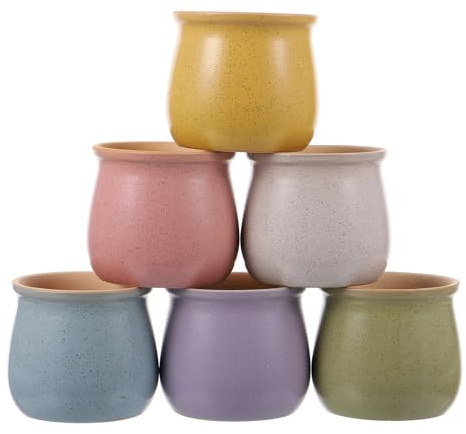 FUTUREORYY Set da 6 Vasi per Piante Grasse in Ceramica Colorati a Forma di Bottiglia di Latte, Vasi Traspiranti per Cactus e Fiori, per Decorazione della Casa