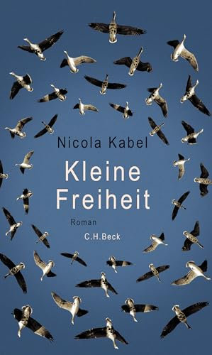 Kleine Freiheit: Roman