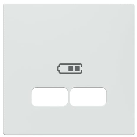 Schneider Electric Merten Zentralplatte für USB Ladestation-Einsatz, System M, aktivweiss glänzend, Artikelnummer MEG4367-0325