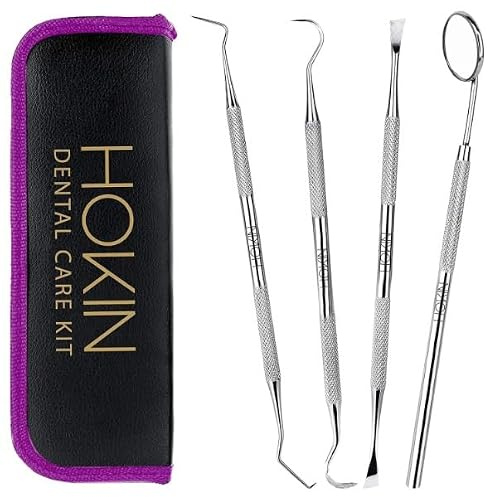 HOKIN Plaque Remover Teeth Cleaning Tool 4 Pcs Dental Care Kit Tooth Filling Repair Set Stainless Steel Dental Tools for Men Women Kids and Pet Care (Blush Pink)
