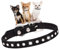 Hundehalsband für kleine Hündinnen, mit Strasssteinen, hübscher Kristall, glitzernd, Glitzer, für Welpen, Größe XXS, XS, S, M, für Mädchen, Katzen, Kätzchen, Schwarz, Größe M