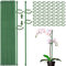 Tuteurs pour Plantes,30 Pièces tuteur Plante Interieur,tuteur Orchidee,60 tiges de Plantes Clips,Fixation de Croissance des Plantes, Protègent Les Plantes de l'Inclinaison (Vert / 90)