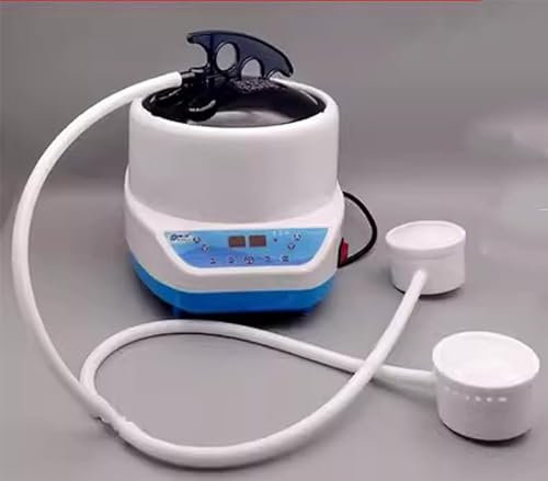 Générateur De Vapeur De Sauna 2000 W, Cuiseur Vapeur Portable 4 L avec Télécommande, Synchronisation Intelligente, Combustion Anti-Séchage, Anti-Fuite, Machine De Spa Domestique