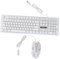 UKCOCO Kit Clavier Et Souris pour Ordinateur Clavier Et Souris De Jeu Design Ergonomique