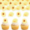DazzJoy 48 Stk Gänseblümchen Essbare Tortendeko Blumen,Essbare Blumen für Torte,Gänseblümchen Tortendeko Essbar,Gänseblümchen Cupcake Topper Hochzeit,Esspapier Blumen Muffin Deko Essbar Geburtstag