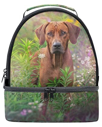 Rhodesian Ridgeback Lunchtasche Dual Deck Isolierte Kühltasche Verstellbarer Riemen Griff für Frauen