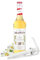 Blue Nile Foods Pump Bundle with Vanilla Syrup 700ml – Flavored Syrup for Coffee, Lattes, Iced Drinks & More – Ideal for Home, Café & Bar Use