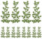 WEBEEDY 6 Pairs Green Embroidery Applique Sewing on Patches Leaves Vine Patches Lace Applique Embellishments for Sewing DIY Craft Wedding Dress Handbag Shirt Clothes Embellishment, Mother's Day Gift