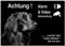 Hovawart-Alarm-Video-Überwachung-Hund-3 Größen-2-3 mm Materialstärke-Schild-Hundeschild-Aluminium-Hunde-Tierschild-Warnschild-Hinweisschild (1450-101 -20 x 15 cm mit Klebepads)