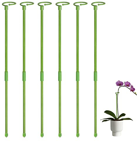 Fulenyi 6er-Pack 80cm Rankhilfe Zimmerpflanzen | Pflanzenstütze Rund Für Hohe Pflanzen Und Blumen | Monstera Rankhilfe Für Garten | Pflanzenstäbe Für Orchideen, Amaryllis, Pfingstrosen, Paprika Usw