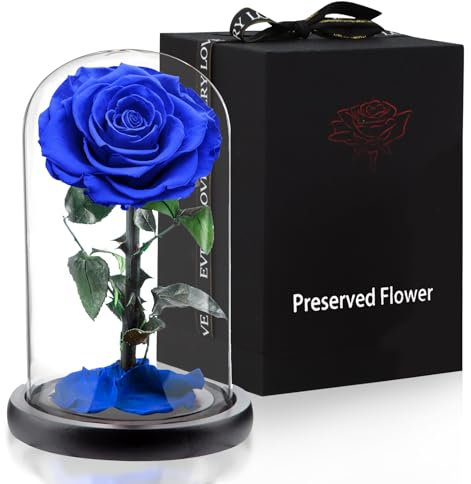 APKOL Rosa Stabilizzata Vera in Vetro, Rosa Eterna Realizzati con Rose Vere, Fiori Stabilizzati sotto Vetro a Cupola, Regalo Donna Compleanno, Regalo Mamma, Regalo Fidanzata, Moglie,Blu