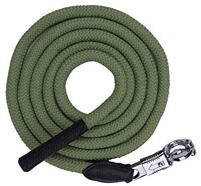 Führ-Strick indira pro PP-Strick-Leder Panikhaken (2,5 m, Grün 01)