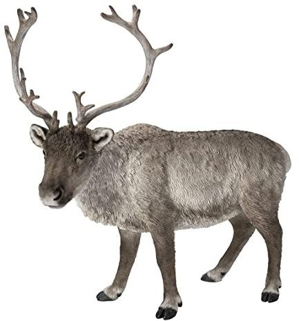 Vivid Arts Rentier - XRL-REIN-C, Grau, M