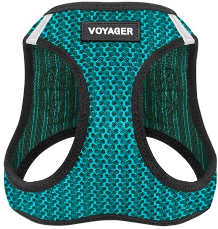 Voyager Step-in-Air-Hundegeschirr, Allwetter-Netzgewebe für kleine und mittelgroße Hunde und Katzen, von Best Pet Supplies – Geschirr (Türkis, 2-farbig), XL (Brustumfang: 52,1–58,4 cm)