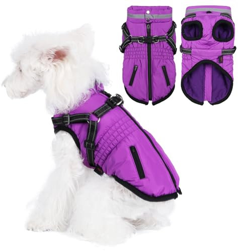 Savlot Warme Hundemäntel Hunde-Winterjacke für kleine Hunde Hundemantel mit D-Ringen wasserdichte Welpenjacke