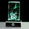 3D Crystal Engraved Hummingbird and Flower Art Figurines Keepsake, Glass Animal Night Light Ornament Birthday Gifts for Mum Friends Women
