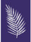 Rayher Schablone Palmenblatt, DIN A5, Schablone mit Rakel, Siebdruck-Schablone, Malschablone, selbstklebend, 45083000, Blau