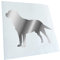 Kiwistar - Autoaufkleber - Chrom - 13x10cm Labrador Hund Retriever - Heckscheibe Auto Aufkleber wetterfest für Kfz LKW Mofa Truck - Sticker außen selbstklebend Tuning Zubehör für Fenster Fahrzeug