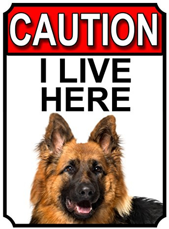 Shawprint Cartel de metal con texto en inglés Precaution I live here (1400H1) con tema de pastor alemán, 200 mm x 150 mm