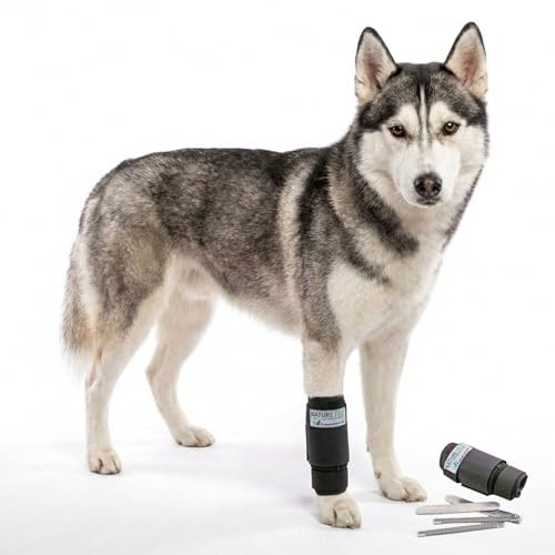 Premium Hunde Vorderlauf Stützbandage mit Stabilisator (XL, Grau) | Federstabelemente & anmodellierbare Aluminiumstäbe stabilisieren das Karpalgelenk bei mittelgradiger Durchtrittigkeit.