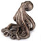 Veronese Design Kraken Statue für Mobiltelefone, Antik-Bronze-Finish