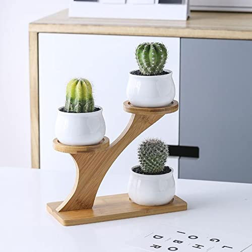 lulalula Support d'intérieur en bois à 3 étages pour plantes en pot, pour la maison, le bureau, le jardin, mini cactus