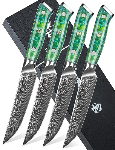 SANMUZUO Steakmesser Set, 4-teilig Damastmesser 13 cm Klinge - Steakbesteck Messerset - VG 10 Damaskus Stahl Küchenmesser mit Harzgriff - Xuan Serie(Smaragd Grün)