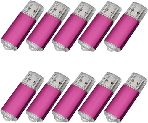Fenglangrong Confezione da 10 chiavette USB da 64 GB, chiavette USB 2.0, confezione da 10 chiavette USB Pendrive da 64 GB, confezione da 10 pezzi, rosa