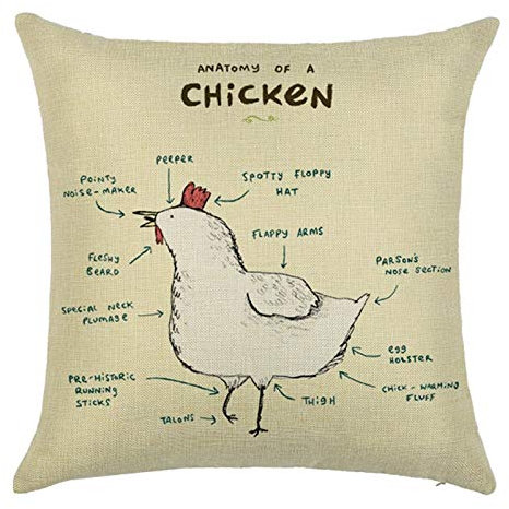 EHOMERY Kissenbezüge Landhaus Kissenbezug Loungemöbel Hähnchen Seide Zierkissenbezüge Kissenbezüge Edel Kissenhülle Orientalisch Wohnzimmer Sofa Dekoration Beige Weiß 18X18 Inches