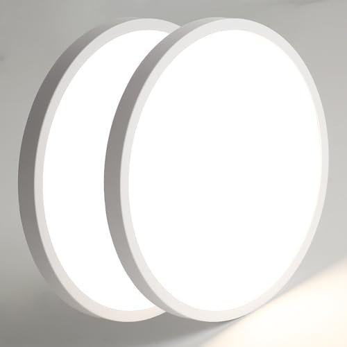 Mikeru 30cm 2pack Bathroom Ceiling Light, 6000k Cool White Round LED Ceiling Lights Contemporary Ceiling Light Ultra-Thin 2.4cm/0.94in LED Kitchen Ceiling Light for Hallway, Balcony