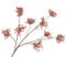 Silk-ka Kunstblume-Seidenblumen Beerenzweig Seide Orange 96 cm