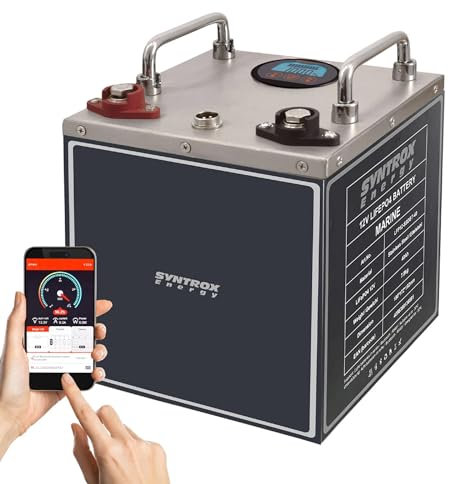 Syntrox Energy Lithium LiFePO4 Batterie, Frostsichere Wohnmobil Batterie 12V, Edelstahlgehäuse, Geringes Gewicht, Hoher Endladestrom (40Ah)