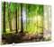 STEINFELD Heizsysteme® Elektroheizung Glas Bild Infrarotheizung mit TS11 WiFi Thermostat | Made in Germany | Motive 067 Wald Panorama (900 Watt, silber/Alu)
